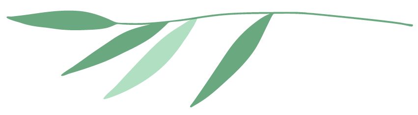 edu•kate•ion Symbol