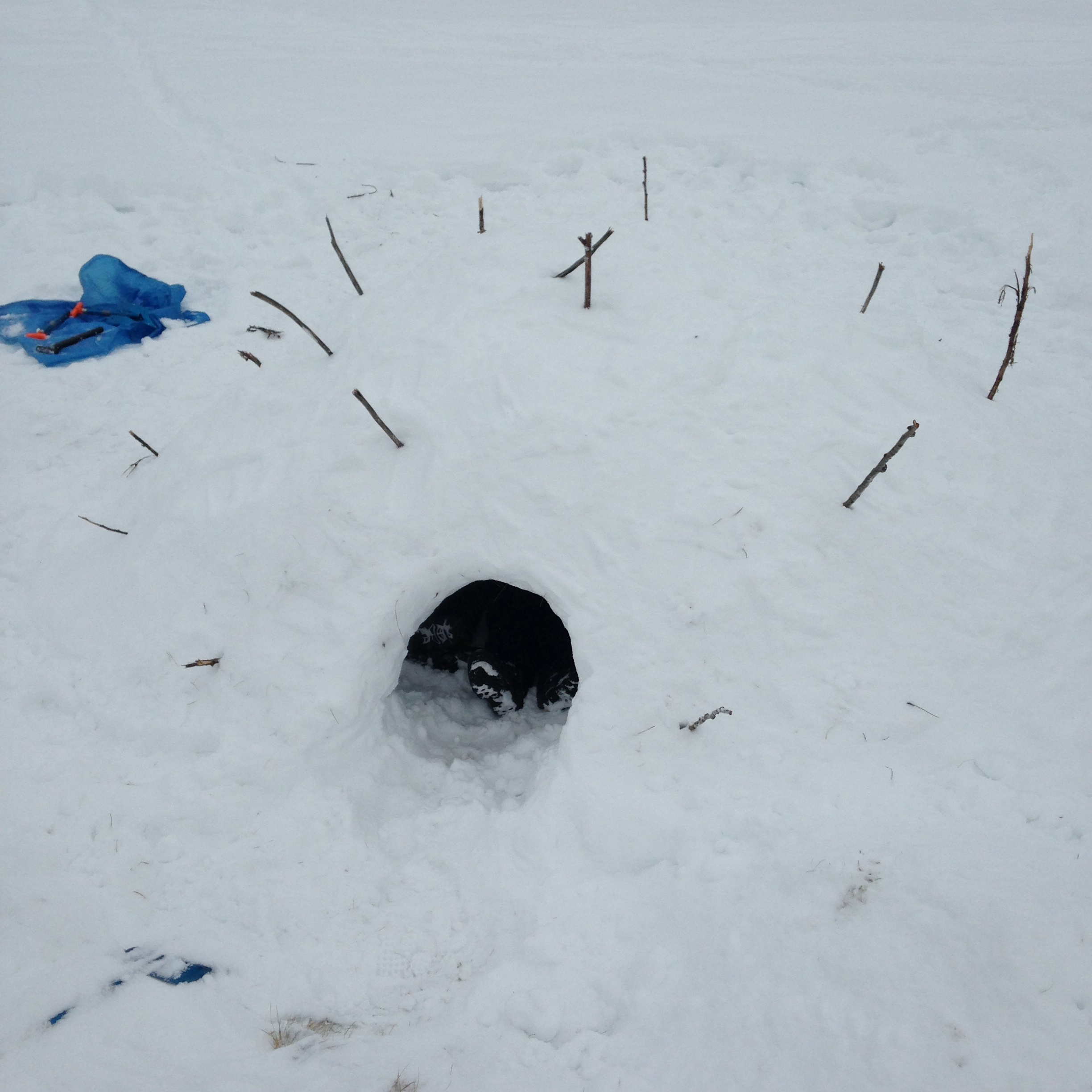 Photo 2015-01-06, 11 53 14 AM