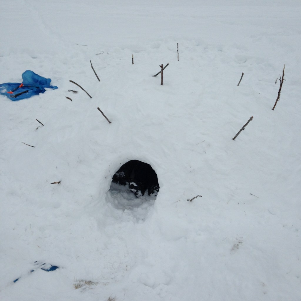 Photo 2015-01-06, 11 53 14 AM